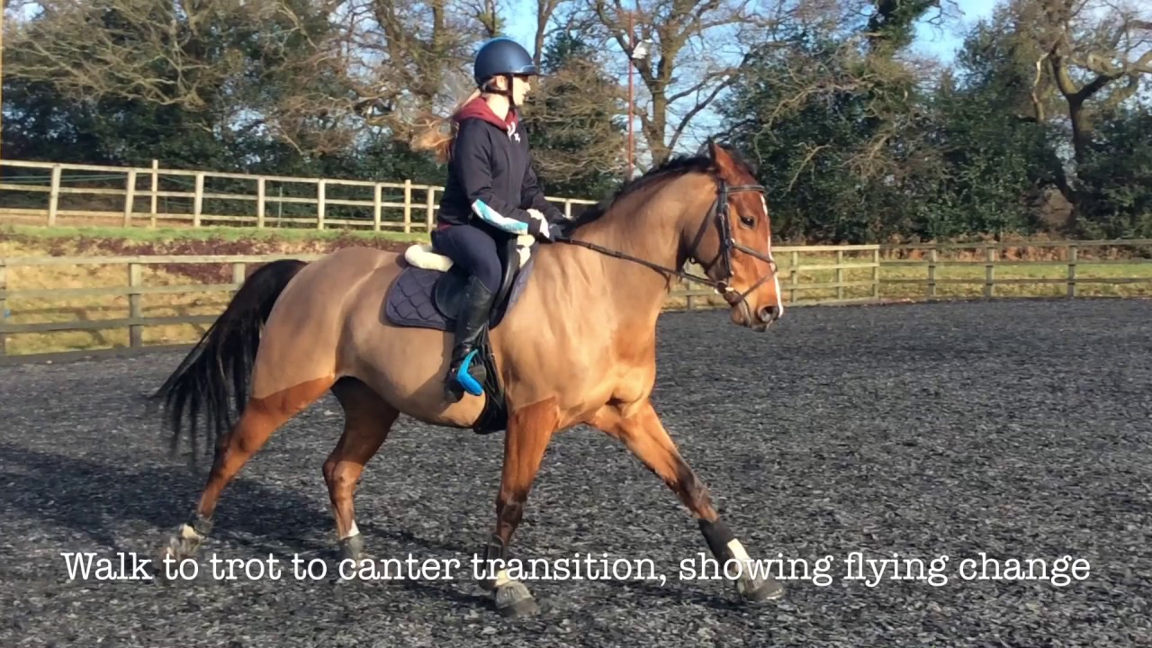 GCSE Pe Horse Riding Mia Moore