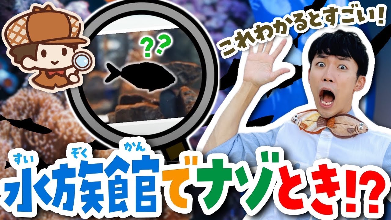 全問分かれば天才！？ナゾとき水族館に行ってみた！【スマートアクアリウム静岡】