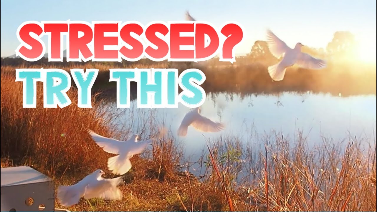 STRESSED Out? Watch This! - See You Again, Piano Music