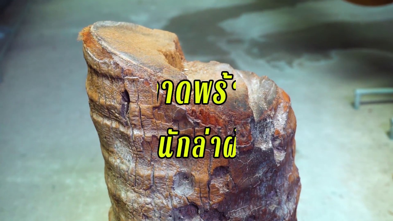 ตลาดนัดลาดพร้าวยะลา