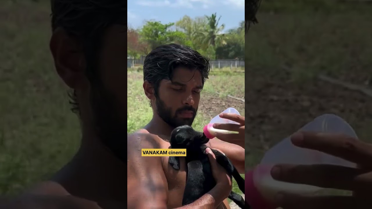 #dhurvvikram #bison #tamilmovie #mariselvaraj #trendingvideo #youtubetrendingshorts #viralshortvideo