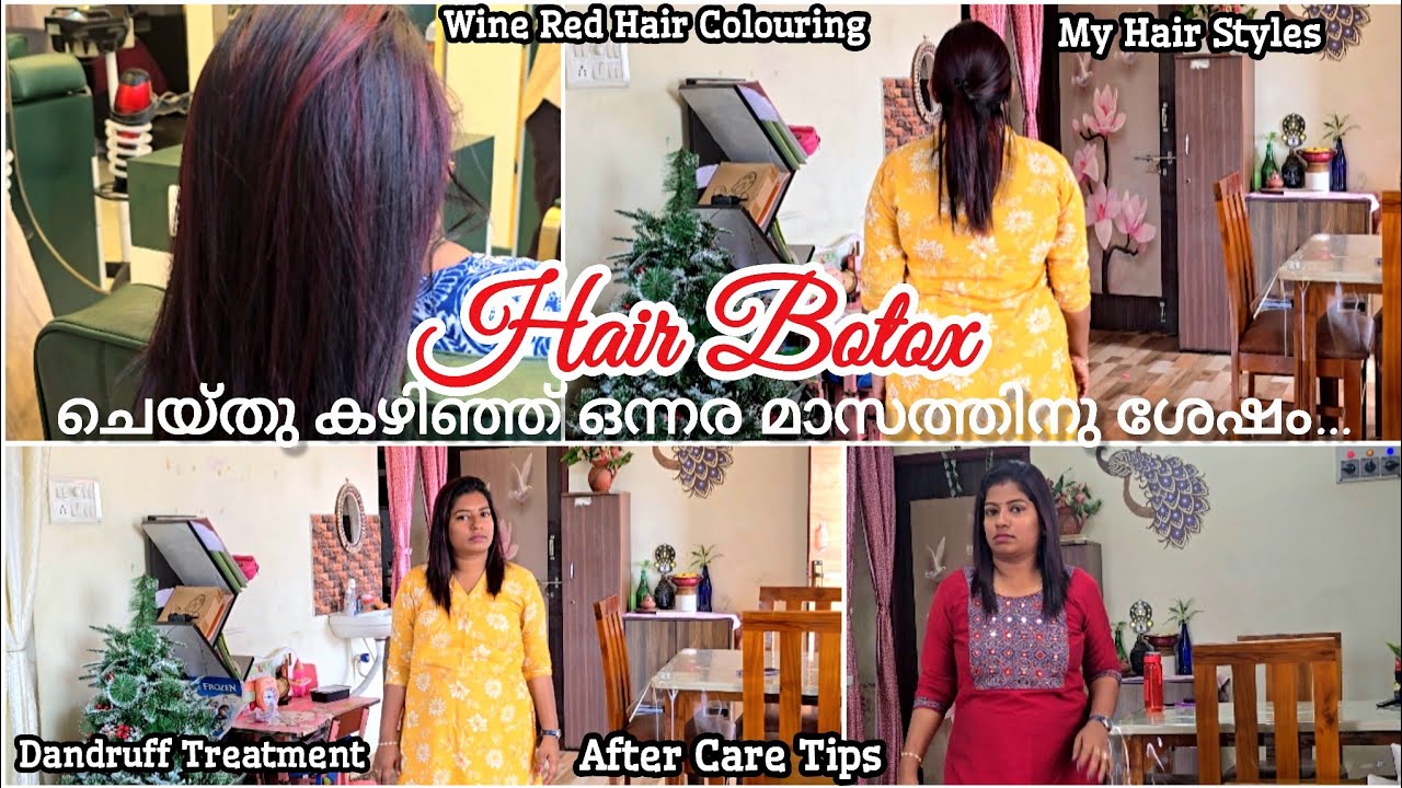 Vlog #287|Hair Botox ചെയ്തതിനു ശേഷം ശ്രദ്ധിക്കേണ്ട കാര്യങ്ങൾ🌿|My Hair Botox Experience After 1 Month