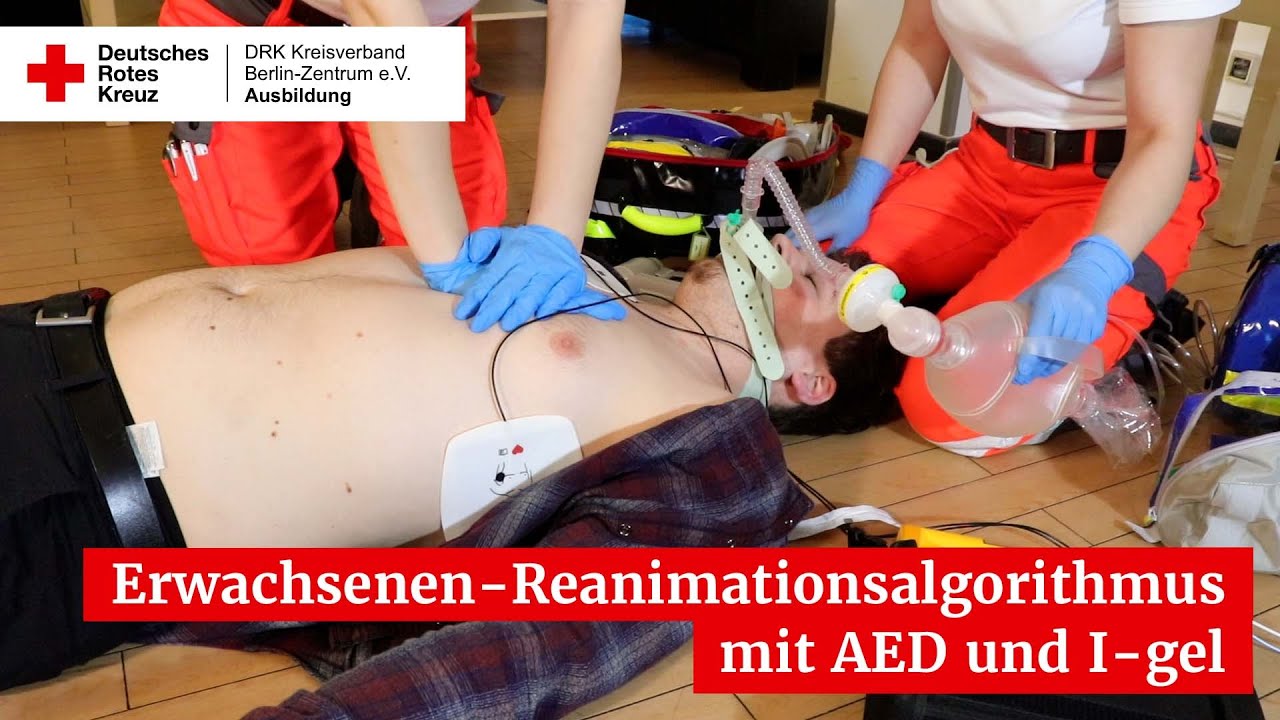 Erwachsenen-Reanimationsalgorithmus mit AED und supraglottischer Atemwegshilfe I-gel