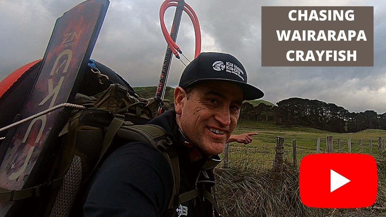 Wairarapa Diving chasing Crayfish