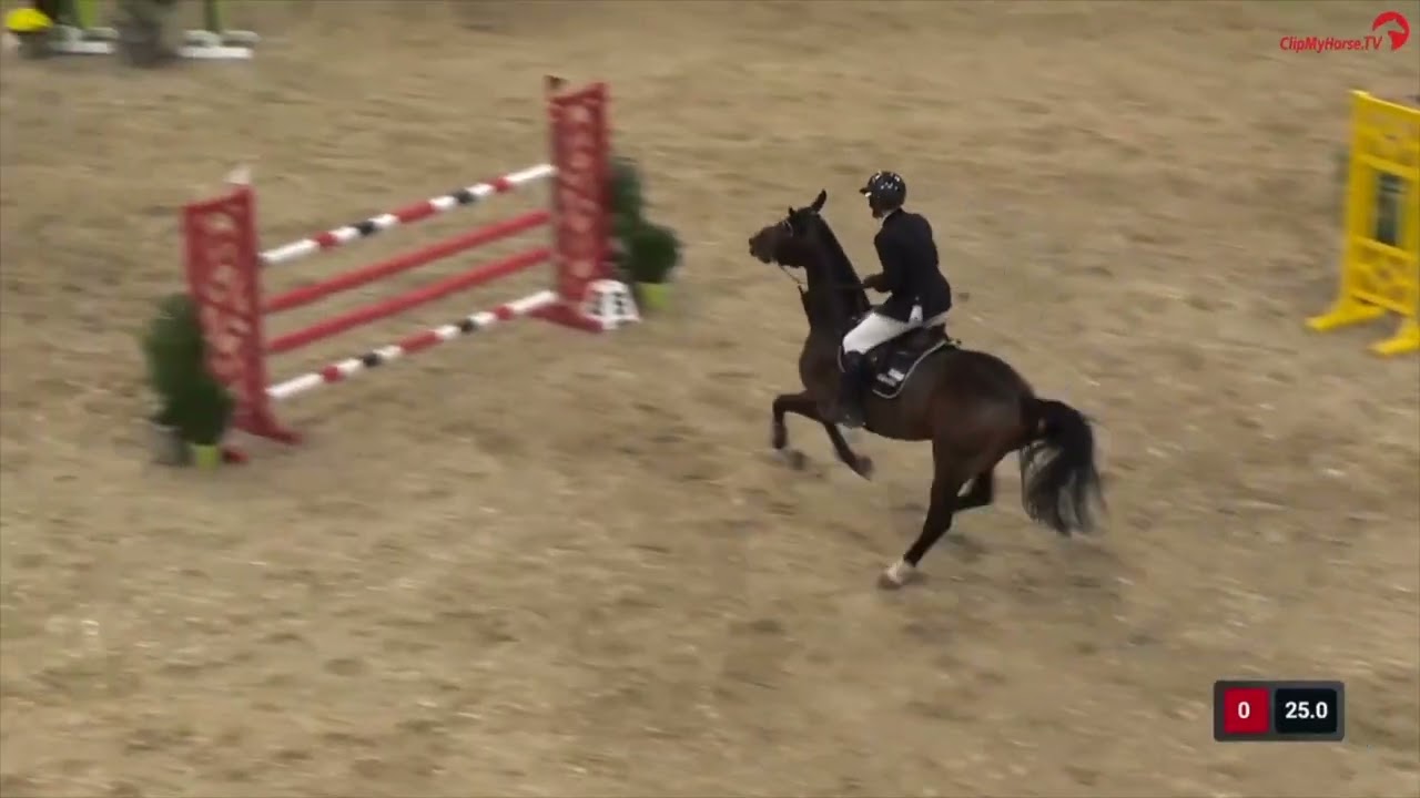 Sherlock van´t Huka *2018 v. Catoki x Thunder vd Zuuthoeve AGRAVIS CUP Oldenburg 2025 Youngster-Tour