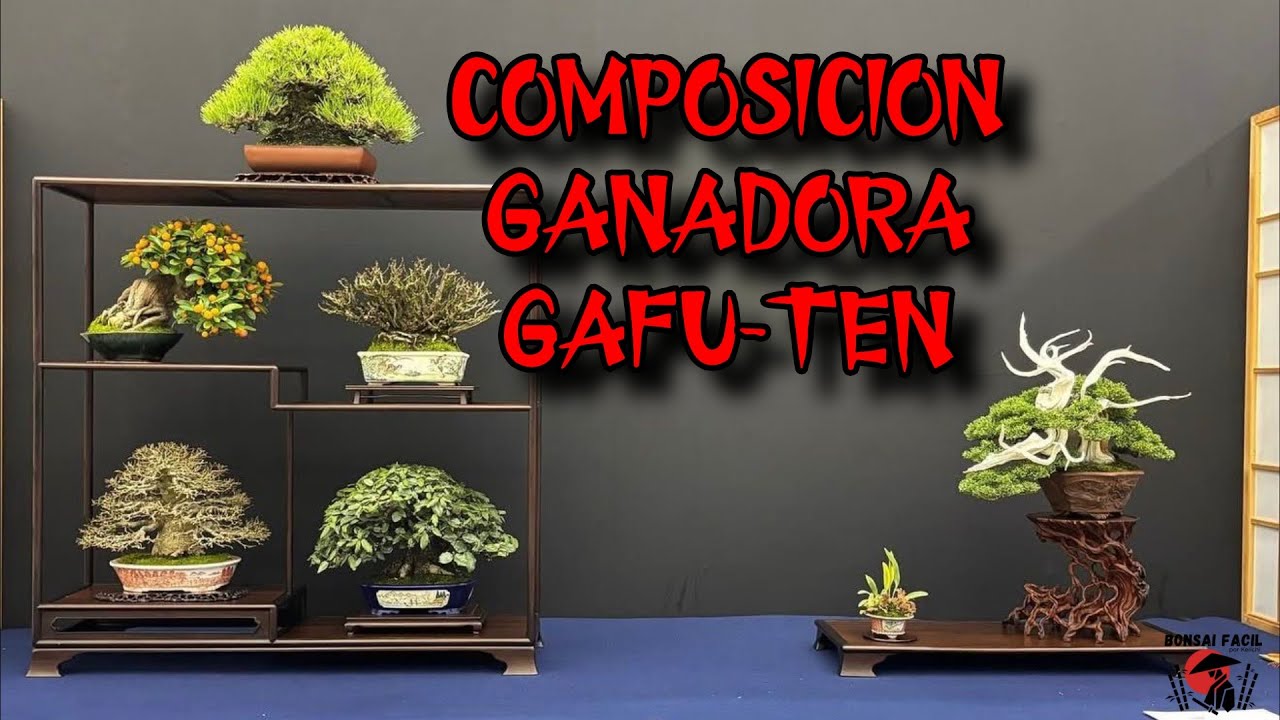Gafu-Ten Bonsai 2026 por @Minibonsái shop 🎋🌳
