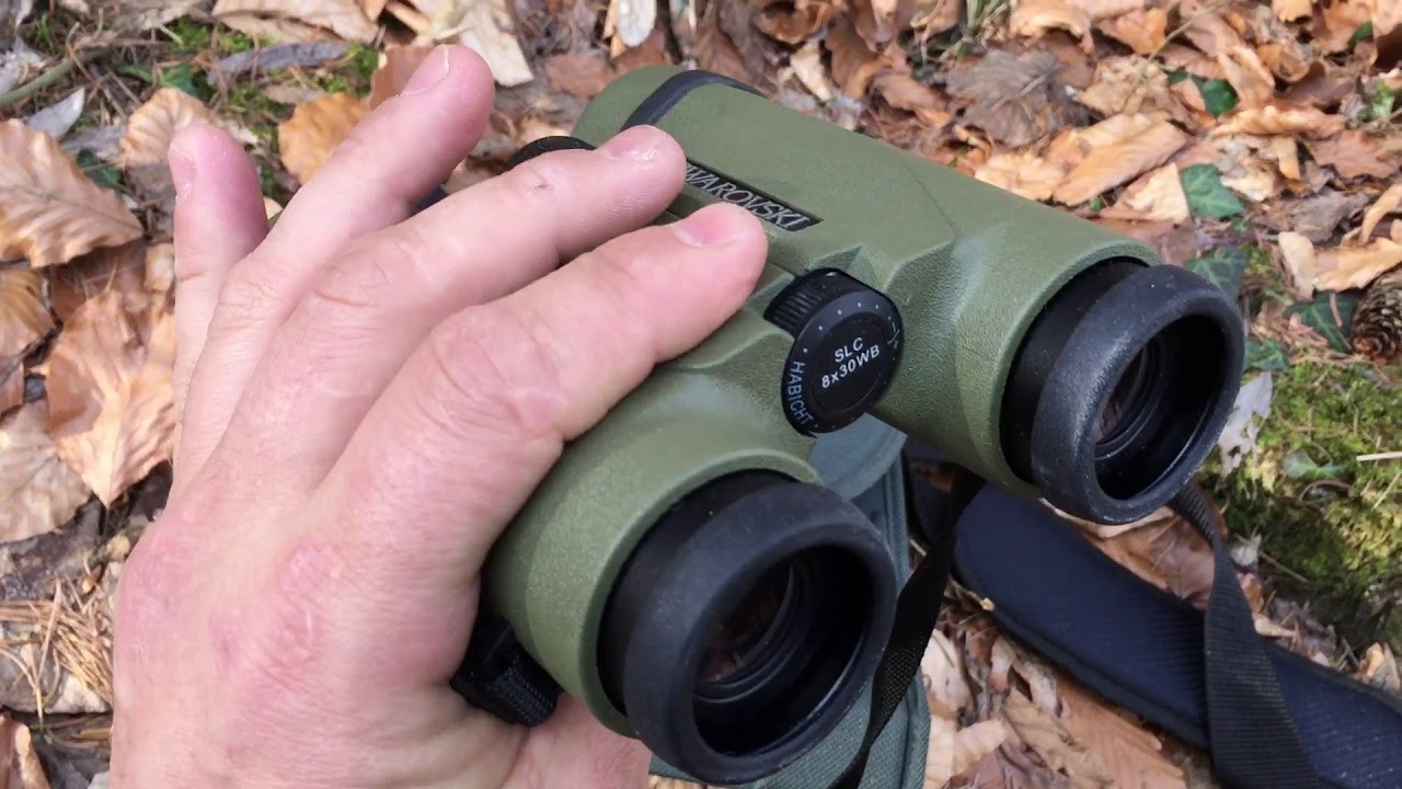 Swarovski 8x30 WB SLC Habicht Fernglas Feldstecher Binocular