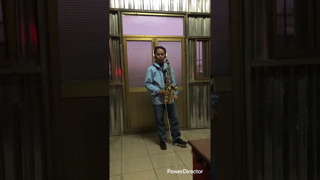 一簾幽夢 鄧麗君（Sax)