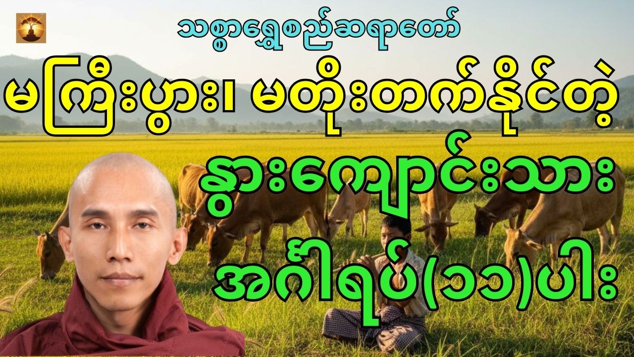 မကြီးပွား မတိုးတက်နိုင်သည့်နွားကျောင်းသားအင်္ဂါရပ် (၁၁) ပါး-သစ္စာရွှေစည်ဆရာတော်အရှင်ဥတ္တမ
