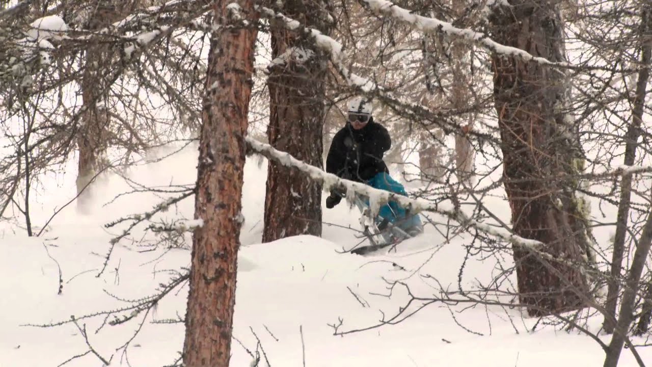 Snowscoot Powder