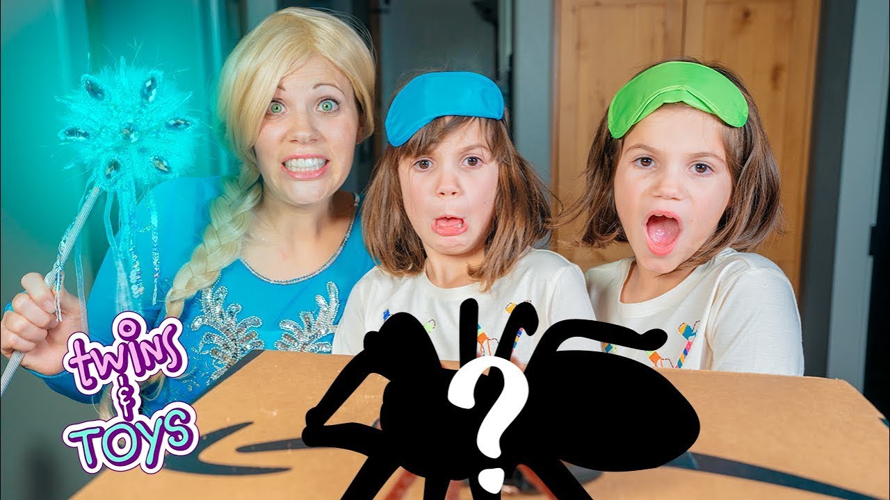 What's in the Box Challenge with Elsa and Twins Kate & Lilly