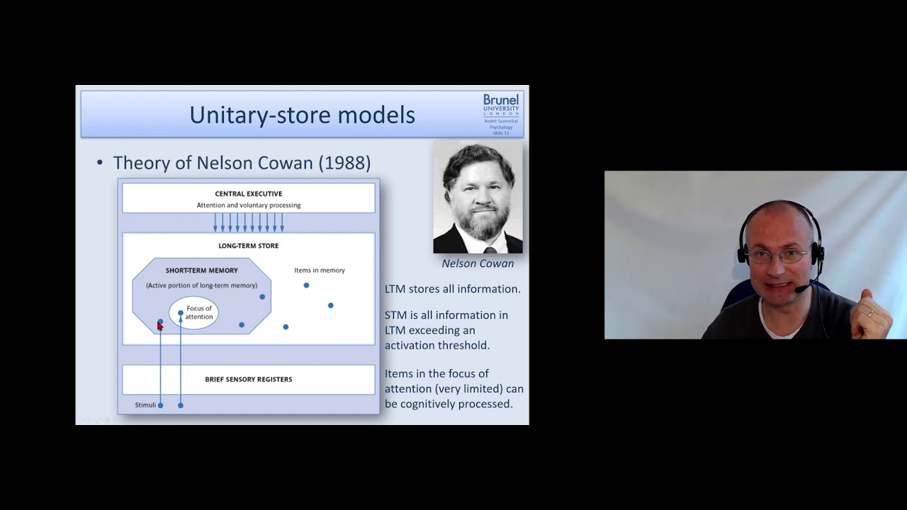 Cognitive Psychology Lecture 04 - Part 3 (Models of Short-Term-Memory, STM)