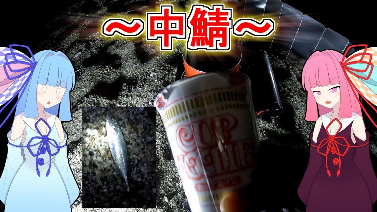 「冬に外で食うカップ麺美味しい」ゆるく楽しく気軽に釣行！part12　サーフでぶっこみサビキ「ボイロフィッシング」