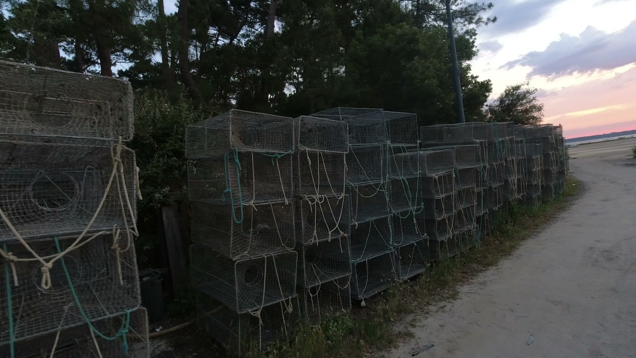 Village Ostréicole de Claouey au réveil Cap Ferret Bassin d'Arcachon 4K