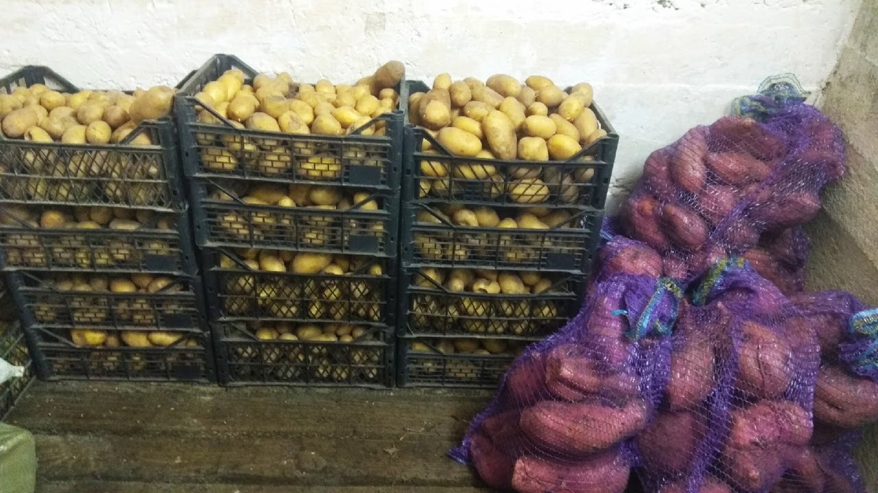 Домашние дела