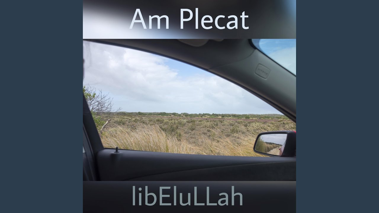 Aluneca Pe Beat