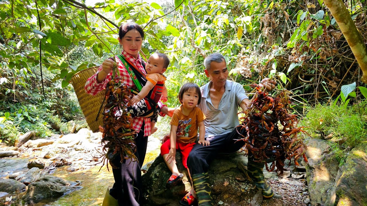 Single mother: Catching wild crabs with grandpa - A surprise gift for grandpa | Ly Phuc Binh