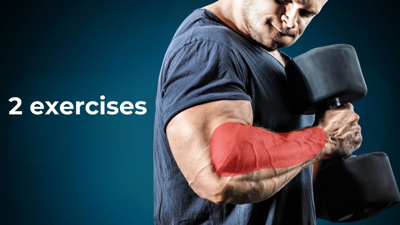 Grow Your Forearms | Learn Biomechanics