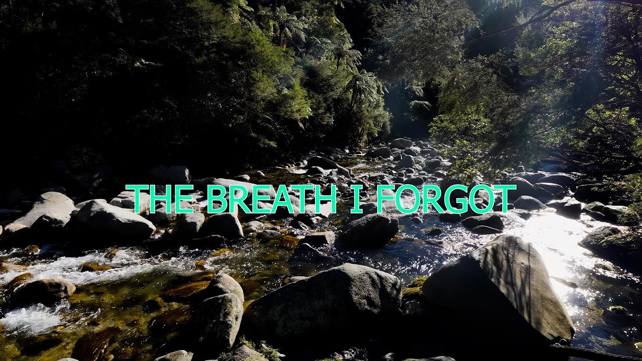 The Breath I Forgot - Songs of Stillness