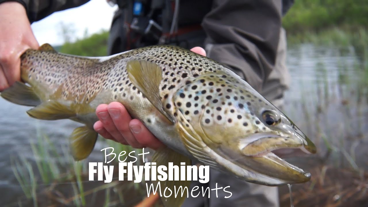 Best Fly Fishing Moments - Trout and Salmon fishing in Sweden - Flugfiske-ögonblick