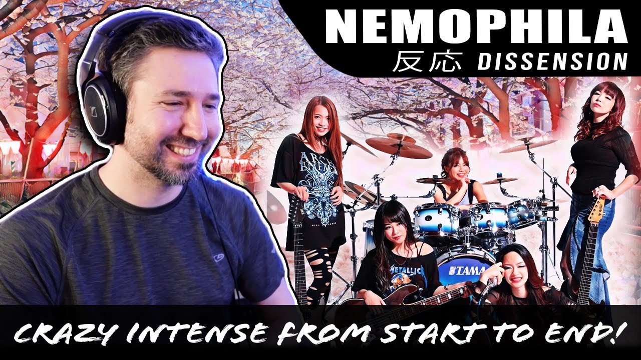 Songwriter LISTENS to NEMOPHILA for the FIRST TIME! (Dissension Reaction)