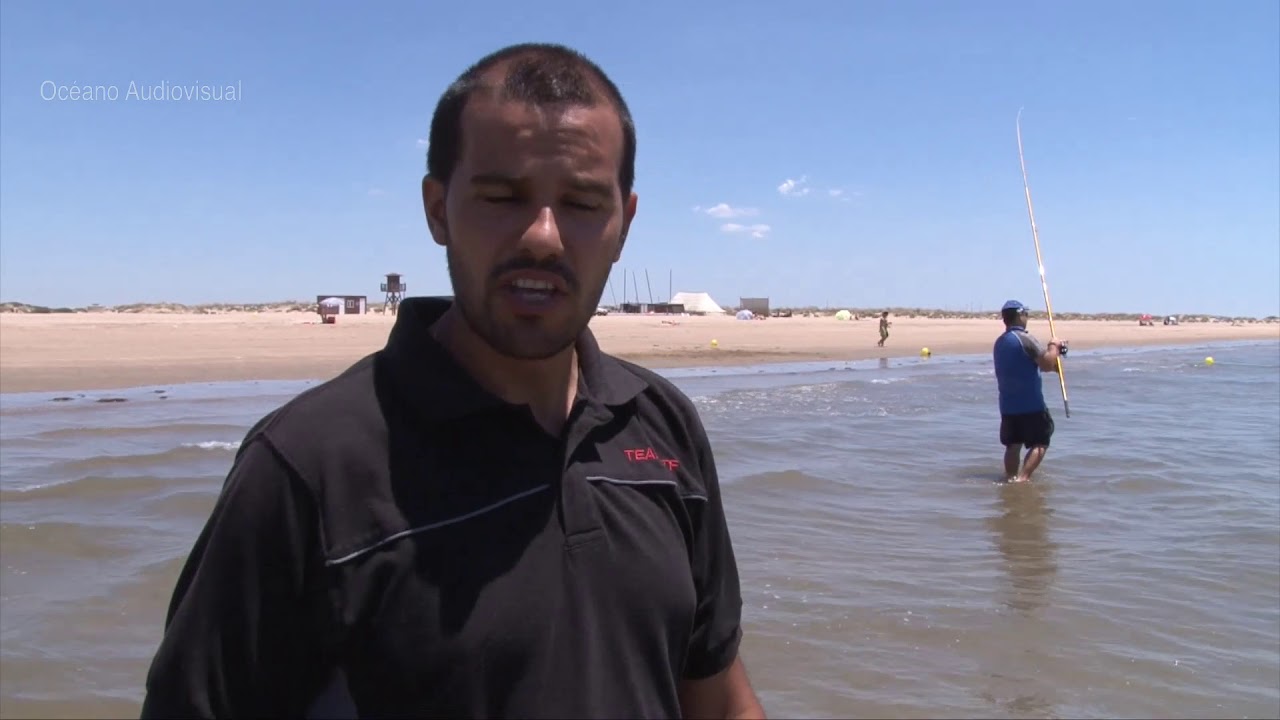 Doradas Atlánticas a surfcasting (Documental completo).
