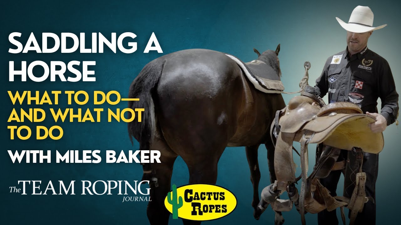 Saddling a Horse: What to Do—and What Not to Do