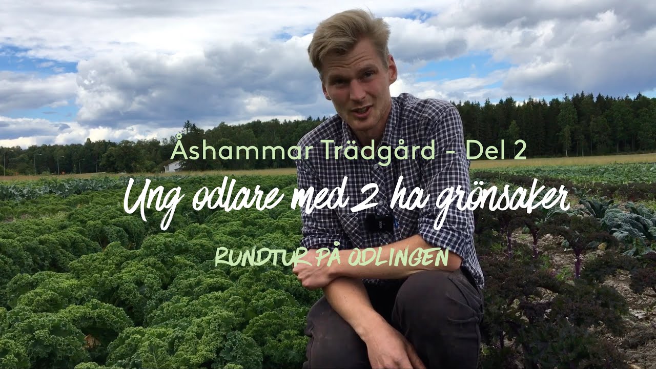 Odlarbesök - Fredrik Wangsten, Åshammars trädgård - Del 2: Rundtur på odlingen