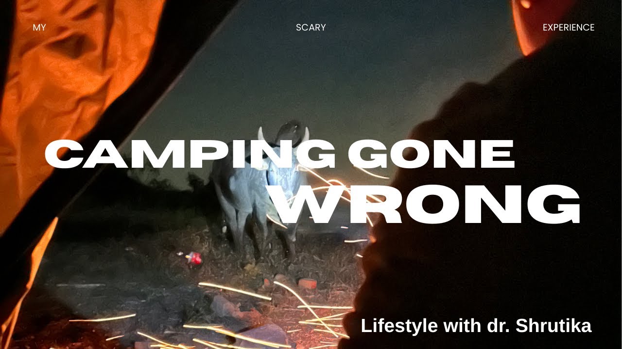My Camping experience ❌ | Camping nightmare ✅