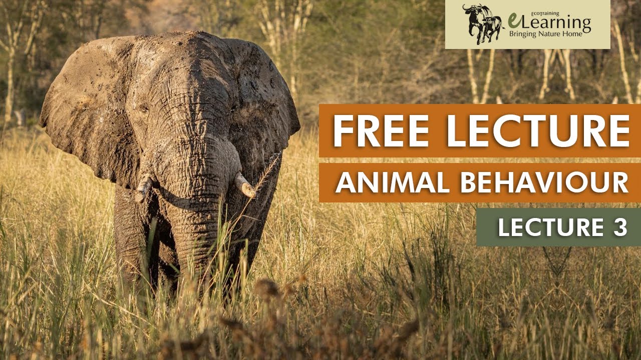 EcoTraining FREE Lecture on Animal Behaviour | Lecture 3