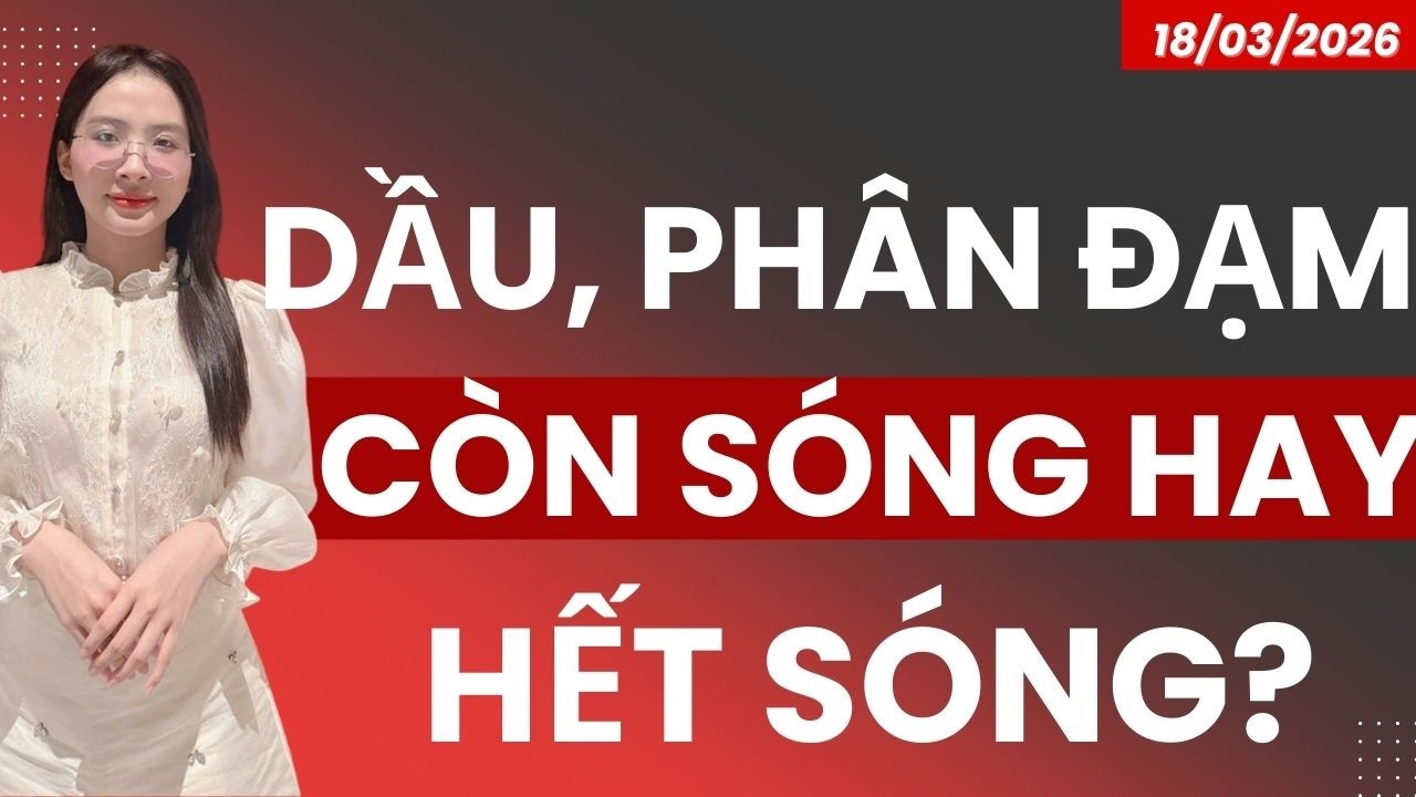 DẦU KHÍ PHÂN ĐẠM CÒN SÓNG HAY HẾT SÓNG?