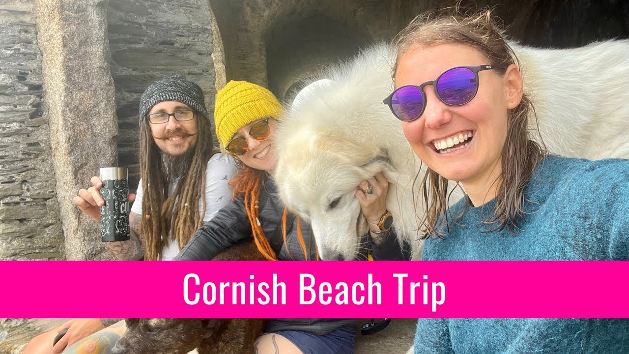 Dog Walking | Cornish Beaches | Sea swimming