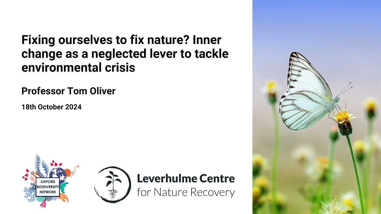 Fixing ourselves to fix nature? Inner change as a neglected lever to tackle environmental crisis