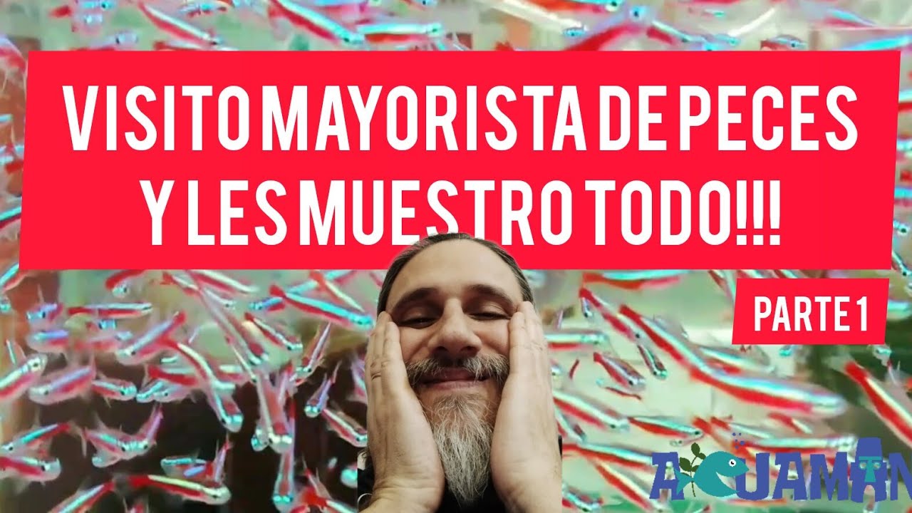Un día cualquiera en Acuamanus #28
