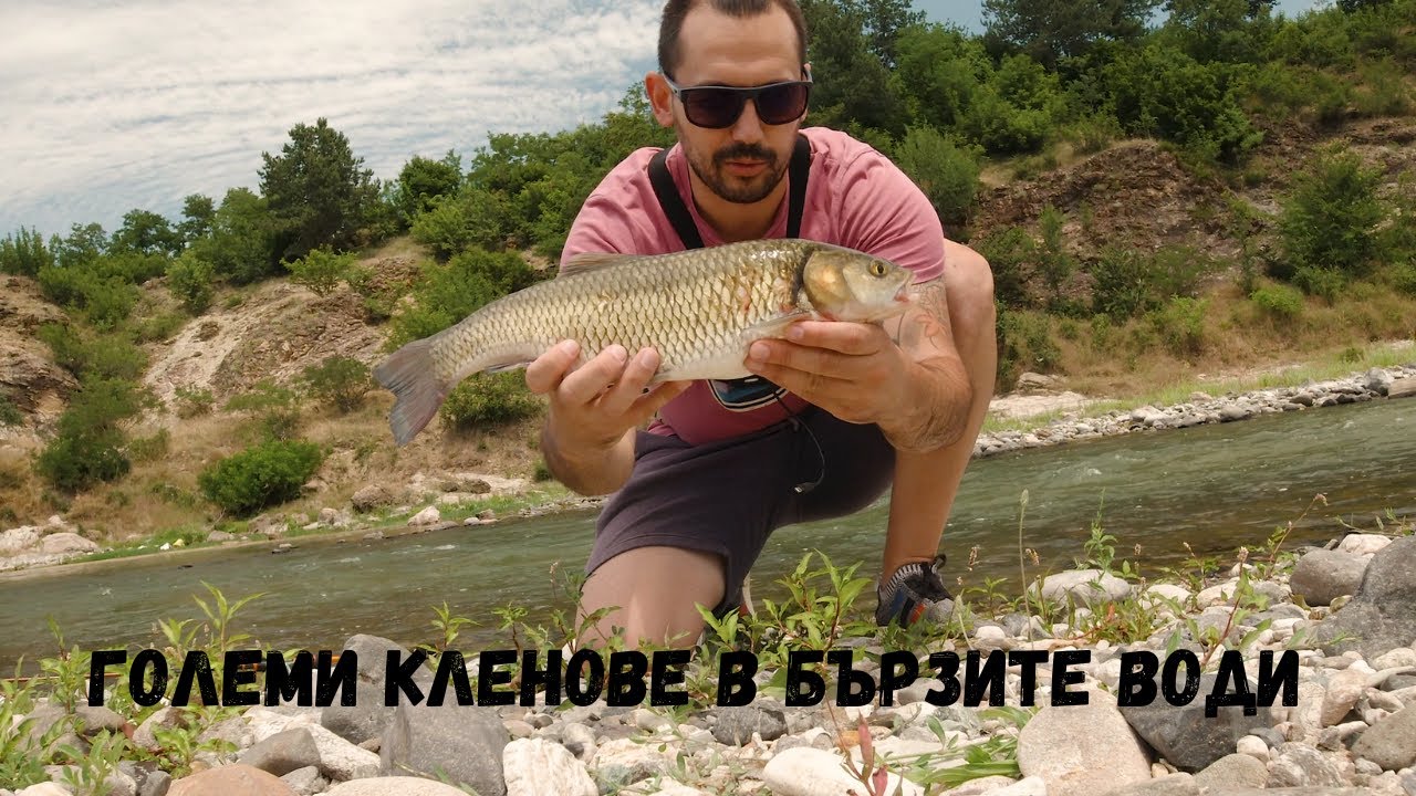 Спининг Риболов на Клен... Големи риби в Течението!!!
