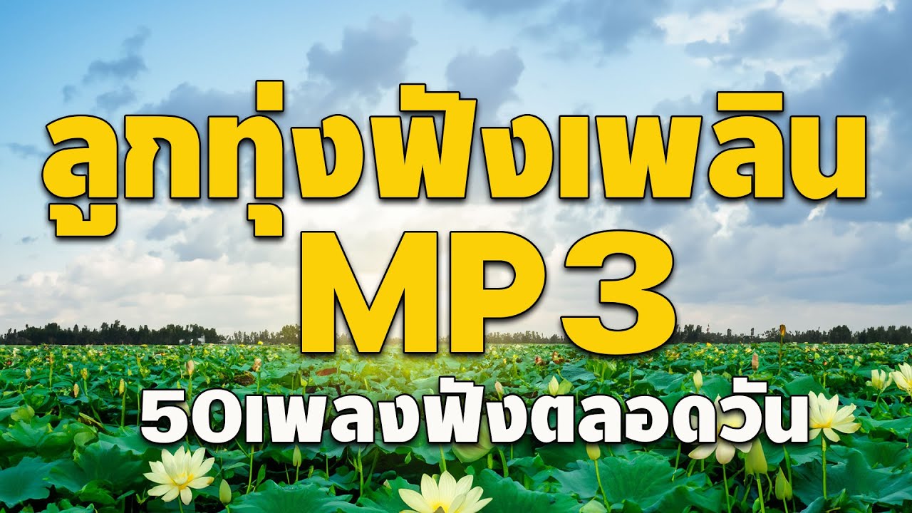 ลูกทุ่งฟังเพลิน MP3 : 50 เพลงฟังตลอดวัน