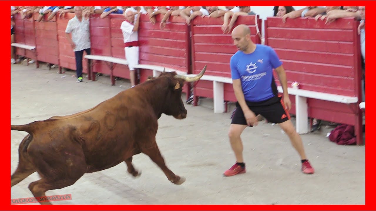 CADREITA ( NAVARRA ) TARDE VACAS EN CALLE ( SABADO 22 JULIO 2023 ) GANAD.ADRIAN DOMINGUEZ