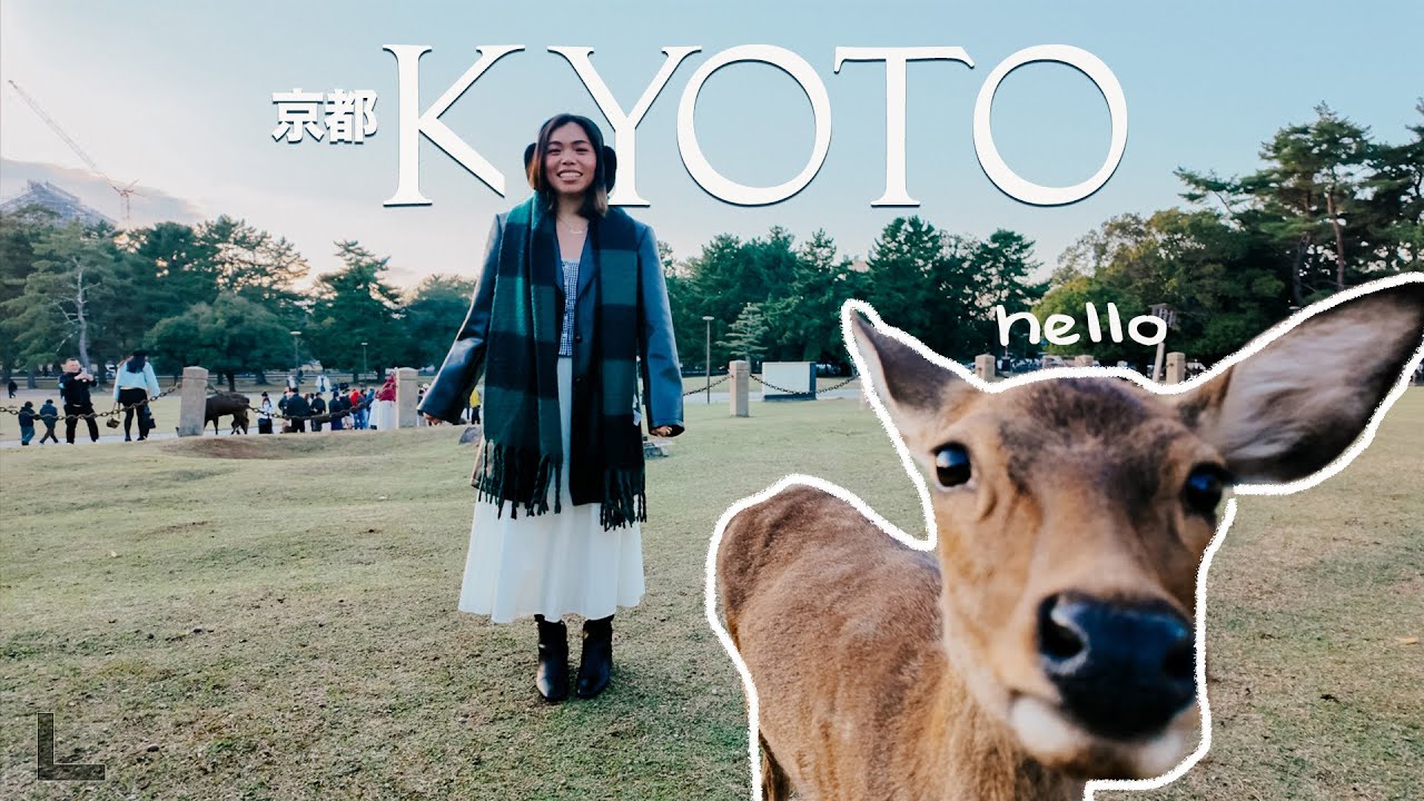 Eat, Shop & Explore Kyoto 京都 | Autumn season, Ramen Finds, Kyoto Sightseeing 🍁🇯🇵