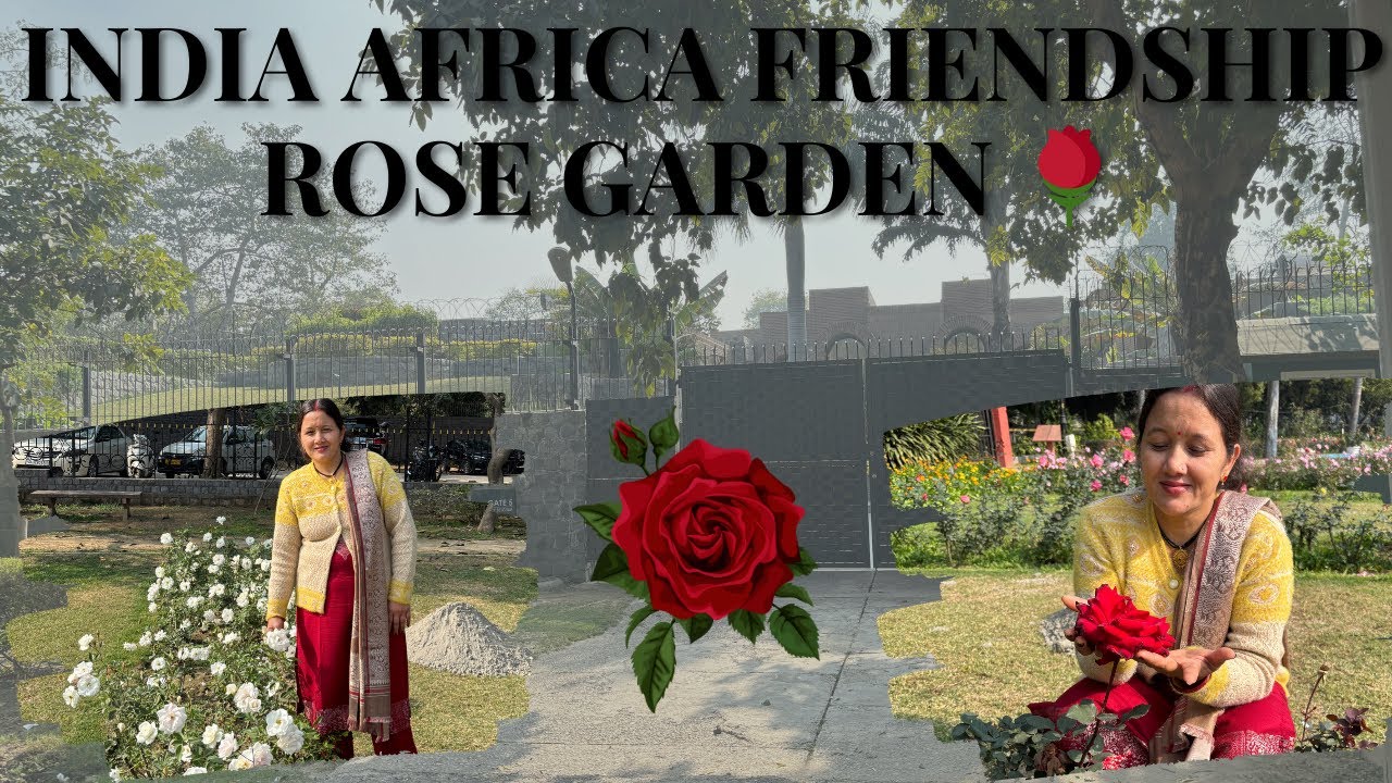 आज मैं गई rose गार्डन🌹🥀 (Aaj m gayi rose garden )🪴 