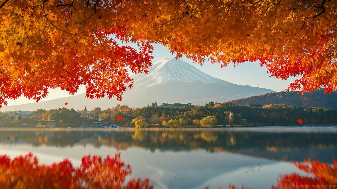 mount fuji autumn (Free Live Wallpaper 4K)