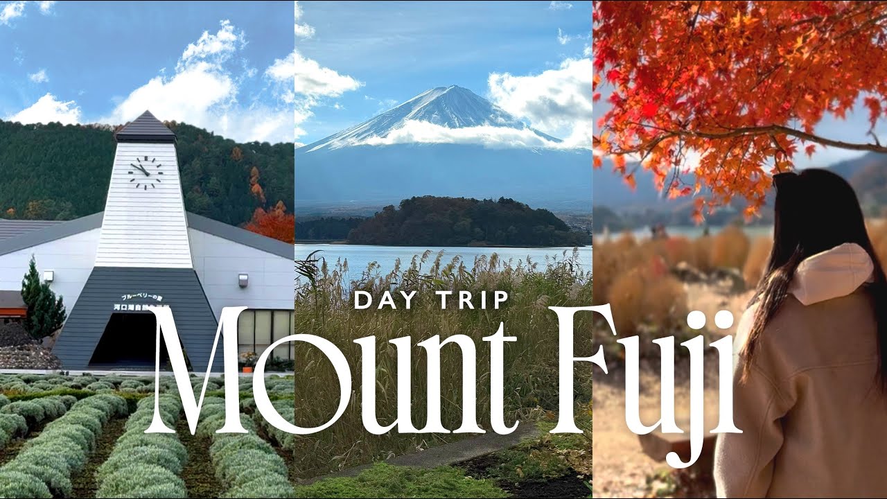 Japan Vlog 🗻 | Mt Fuji day trip