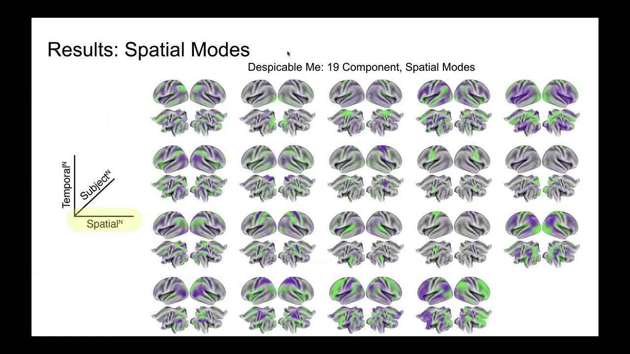 OHBM 2023 | 2991 | Talk | Jeff Mentch | Identifying brain networks in a clinically rich and natura…