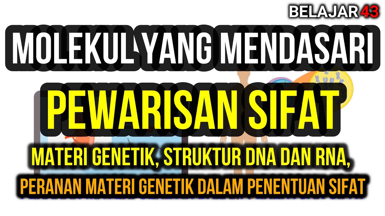 Molekul yang Mendasari Pewarisan Sifat [Seri Pewarisan Sifat Bagian 1]