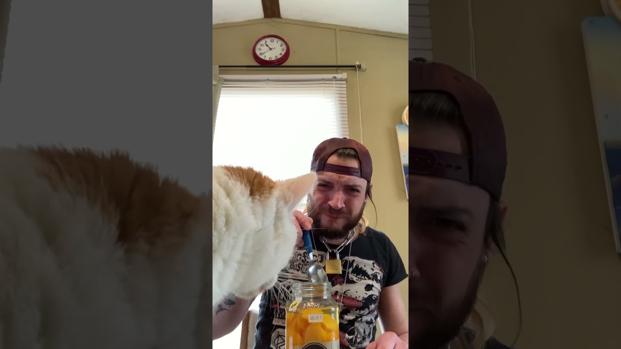 Is it good? Ole Smoky Moonshine Peaches #olesmoky #moonshine #peaches #tennessee #alcohol hine
