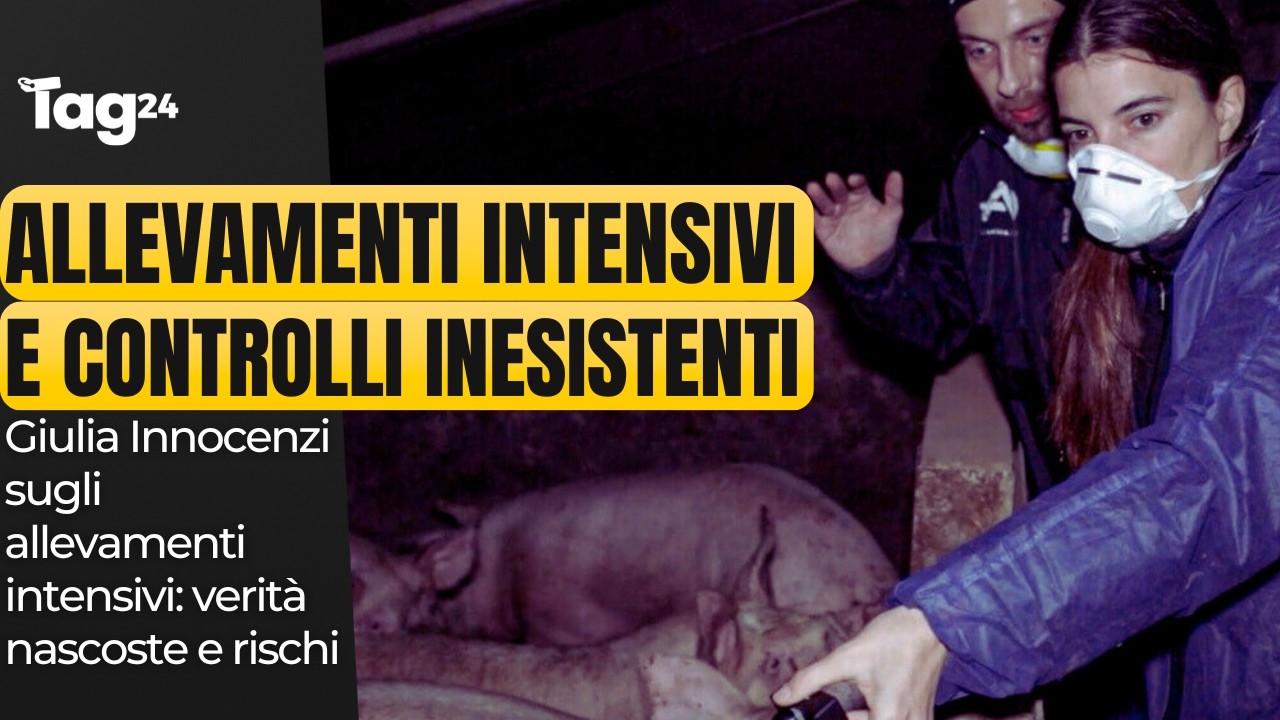Allevamenti intensivi, verit&agrave; nascoste e rischi sanitari: parla Giulia Innocenzi