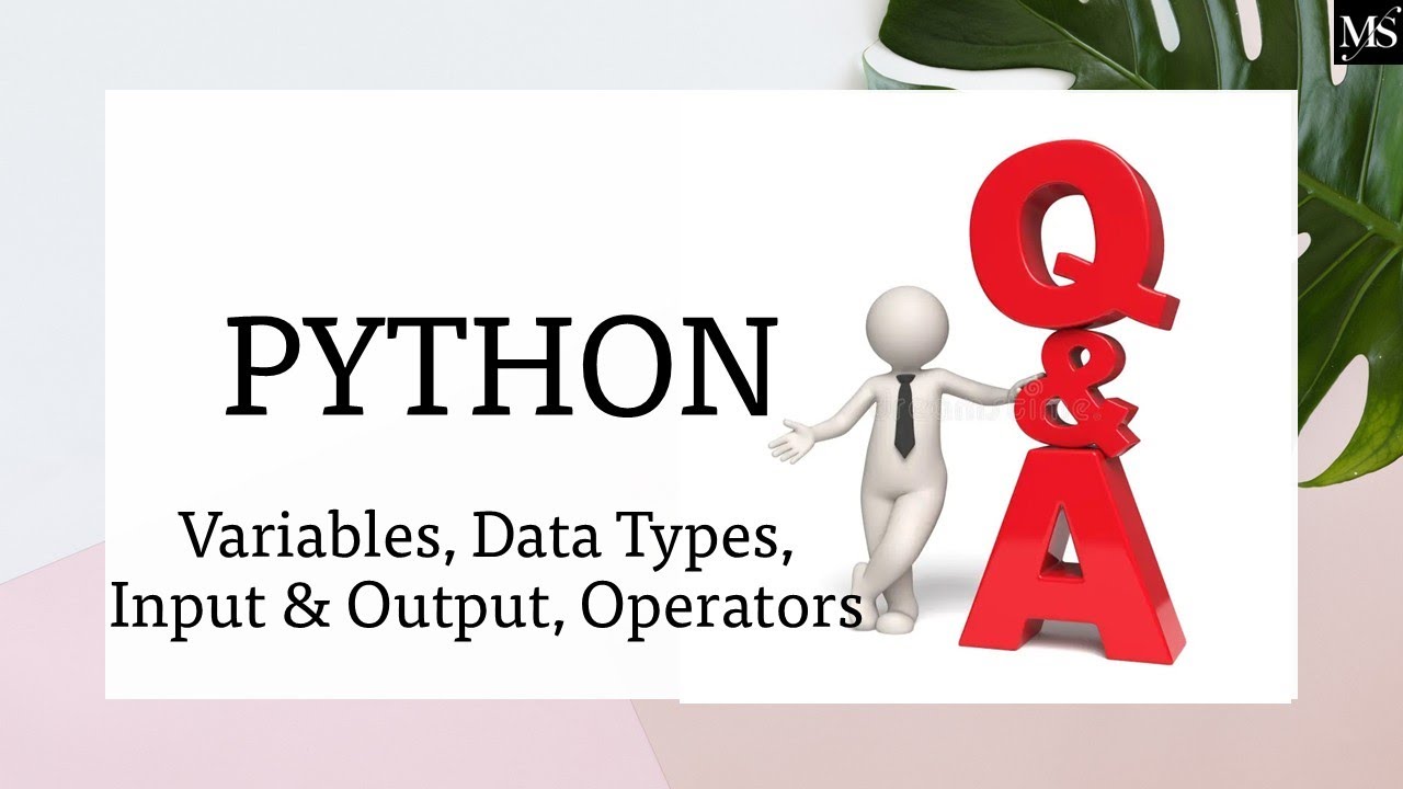 Python One-Shot Q & A 🐍🔥 | Basics Revision for Beginners|  Intro, Variables, Data Types & Operators