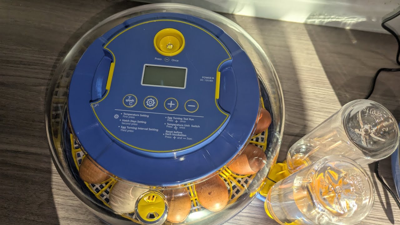 18 egg incubator set up with chicken eggs