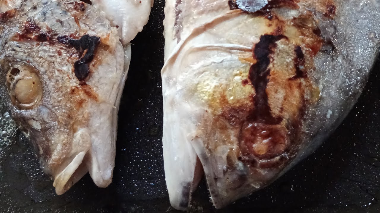 Lidia Ferrer Oficial #Pescado #cuaresma #Live