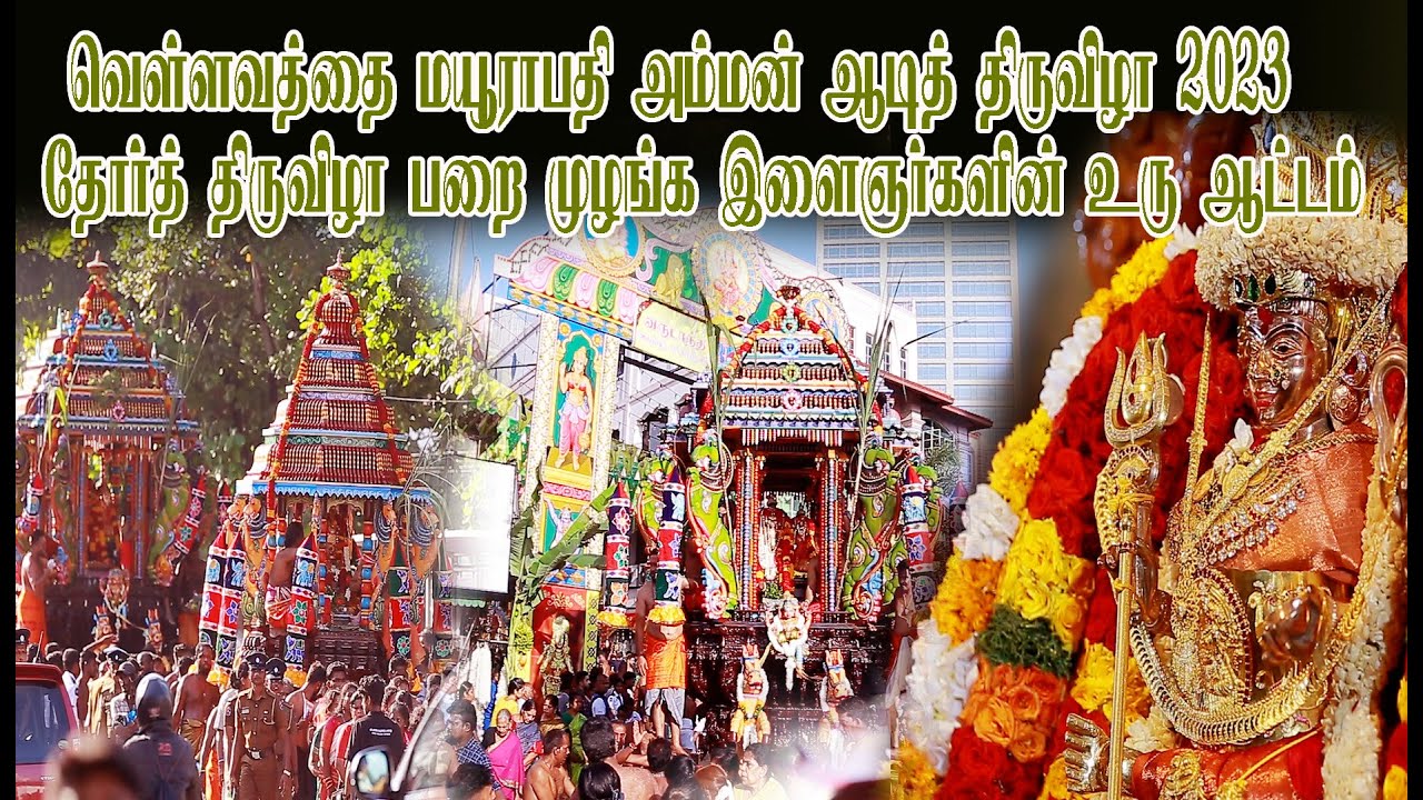 வெள்ளவத்தை மயூராபதி அம்மன் ஆடித் திருவிழா 2023 தோர்த் திருவிழா பறை முழங்க இளைஞர்களின் உரு ஆட்டம்