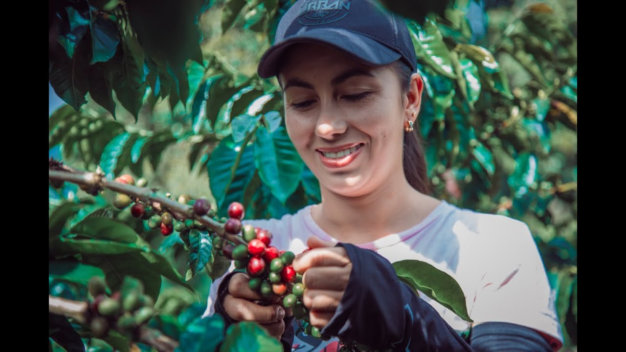 🌳🌿🌼🌷𝐅𝐈𝐍𝐂𝐀 𝐋𝐀 𝐄𝐒𝐌𝐄𝐑𝐀𝐋𝐃𝐀 𝐄𝐍 𝐂𝐀𝐈𝐂𝐄𝐃𝐎𝐍𝐈𝐀🌳🌿🌼🌷